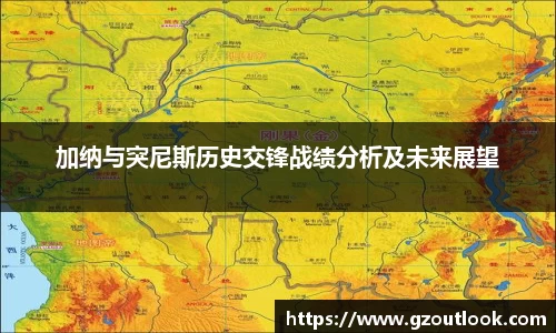 谈球吧体育加纳与突尼斯历史交锋战绩分析及未来展望